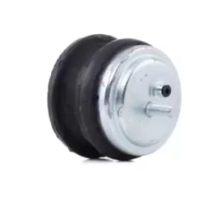 REINHOCH Engine mount RH11-3027 Motor mount,Engine mounting bracket BMW,5 Limousine (E39),5 Touring (E39)