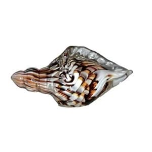 Objets d'Art Glass Ornament - Sea Shell