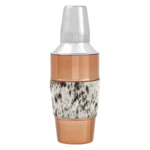 Albany Cocktail Shaker