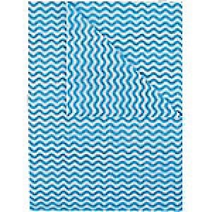 Robert Scott Cleaning Wipes Blue 36 x 50cm 50 Pieces