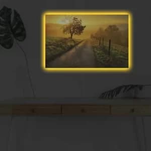 4570DHDACT-005 Multicolor Decorative LED Lighted Canvas Painting