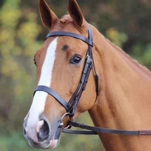 Aviemore Aviemore Plain Bridle - Black