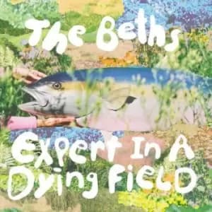 Expert in a Dying Field by The Beths CD Album
