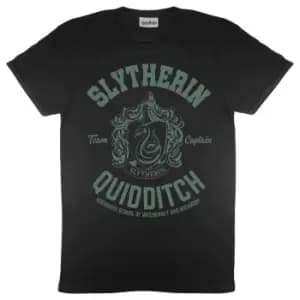 Harry Potter Mens Slytherin Quidditch T-Shirt (M) (Black)