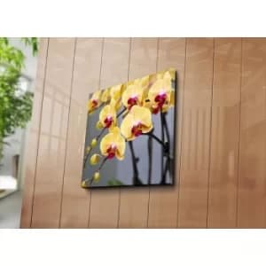 4545C-84 Multicolor Decorative Canvas Painting
