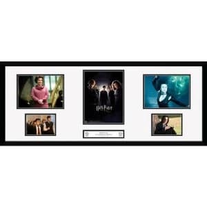 Harry Potter Order Of The Phoenix Collector Print