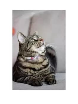 Joules - Cambridge Floral Cat Collar - Twin Pack