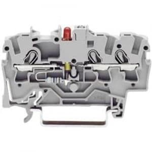 LED terminal 4.20 mm Pull spring Configuration L Grey