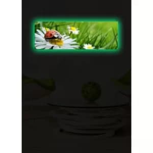 3090DACT-10 Multicolor Decorative LED Lighted Canvas Painting