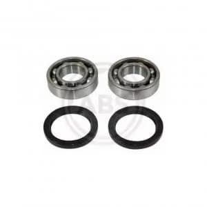 Rear (left /right) Wheel Bearing Kit A.B.S. 200503