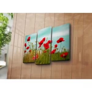 3NATPAT-9 Multicolor Decorative Canvas Painting (3 Pieces)
