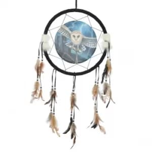Heart of the Storm Owl Design Dreamcatcher Medium