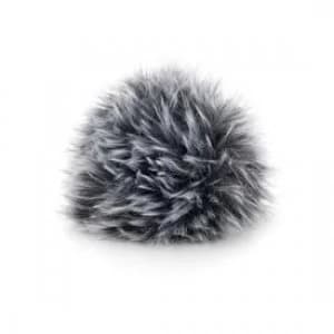 Olympus WS-1 Wind Jammer