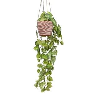 Faux Trailing Foliage in Hanging Terracotta Ceramic Pot in Gift Box