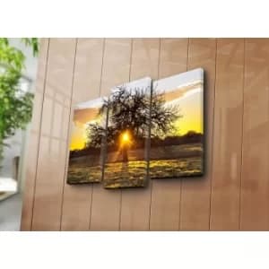 3NATPAT-50 Multicolor Decorative Canvas Painting (3 Pieces)