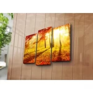 3PATK-11 Multicolor Decorative Canvas Painting (3 Pieces)