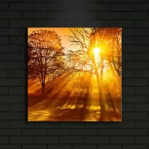 4040?ACT-10 Multicolor Decorative LED Lighted Canvas Painting