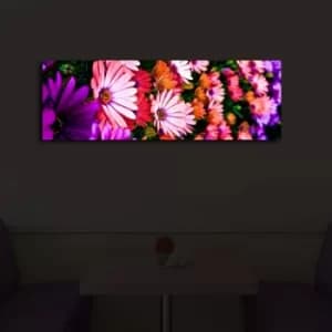 3090?ACT-43 Multicolor Decorative LED Lighted Canvas Painting