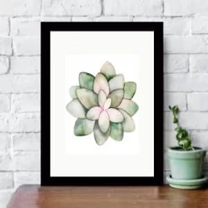 SC5467455853 Multicolor Decorative Framed MDF Painting