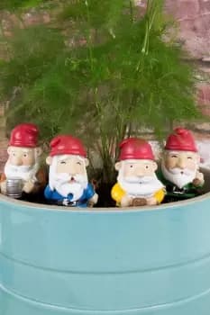 Mini Plant Pot Gnomes
