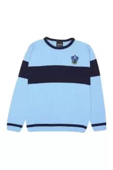 Ravenclaw Quidditch Knitted Jumper