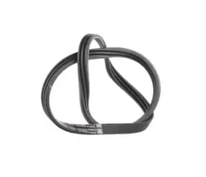 Bosch V-ribbed belt RENAULT,PEUGEOT,NISSAN 1 987 947 572 8200830182,PQS101450,5750FL 8200830182,PQS101450