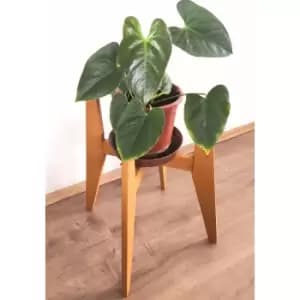 Pollny Handmade Natural Solid Wood Plant Pot Holder Pot Stand Pot Organizer Decorative Plant Organizer - Light - Decorotika