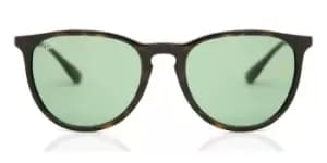 Ray-Ban Sunglasses RB4171 Erika 6393/2