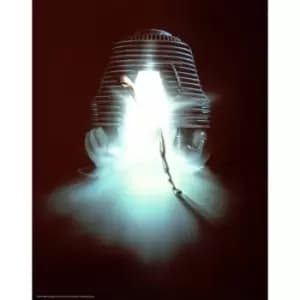 The Fly Limited Edition Art Print