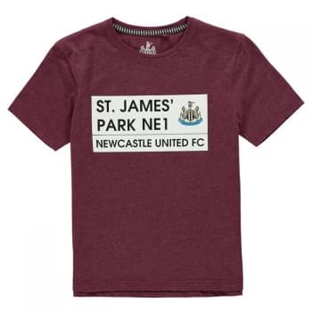 Team St James Park T Shirt Junior Boys - Burgundy Marl