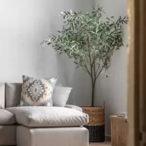 Crossland Grove Olive Tree Large Green H2020Mm