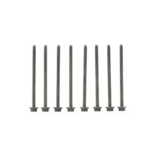 ELRING Cylinder Head Bolt Kit 061.330 Bolt Kit, cylinder head VW,SKODA,SEAT,POLO (9N_),Polo Schragheck (6R1, 6C1),Fox Schragheck (5Z1, 5Z3, 5Z4)