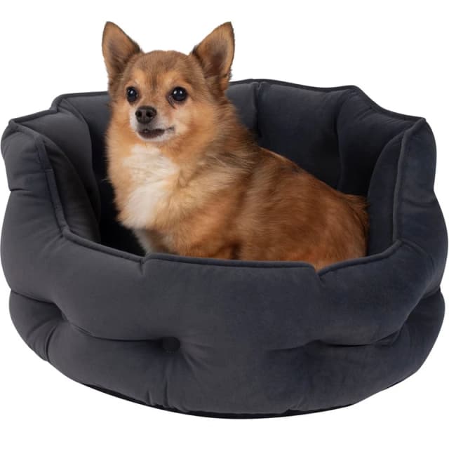 Bunty Pets Monarch Pet Bed Medium