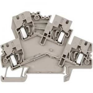 Weidmueller 8670750000 ZDK 4 2 05 6 mm2 Beige