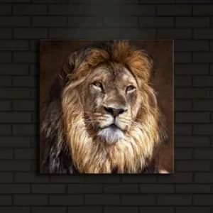 4040?ACT-20 Multicolor Decorative LED Lighted Canvas Painting