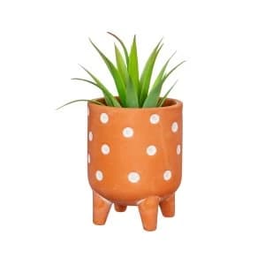 Sass & Belle Small Polka Dot Terracota Leggy Planter