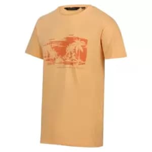 Regatta Cline VII Short Sleeve Tshirt - Pale Orange