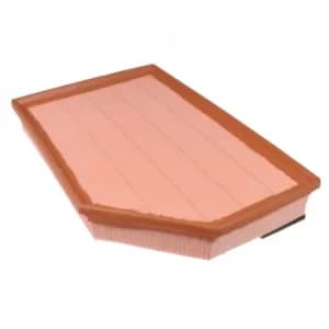 Air Filter ADF122204 by Blue Print