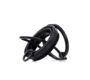 RIDEX Brake Caliper Repair Kit 405R0150 Caliper Repair Kit,Brake Caliper Rebuild Kit VW,MERCEDES-BENZ,FORD,Passat Variant (3C5),Passat Limousine (3C2)