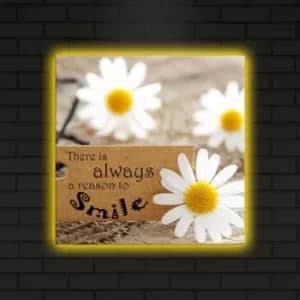 4040DACT-9 Multicolor Decorative LED Lighted Canvas Painting