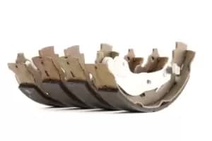 Bosch Brake Shoes OPEL,PEUGEOT,TOYOTA 0 986 487 665 4241N2,4708598,93193429 Brake Shoe Set,Brake Lining 4241N2,044950D010,044950D020,044950H010,4241N2