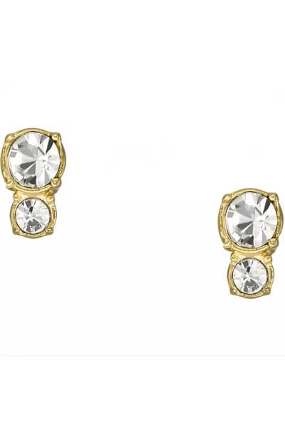 Fossil Jewellery Vintage Stainless Steel Earrings - Jf04373710 Gold