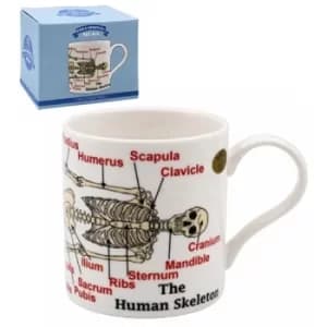 Educational Mug Skeleton