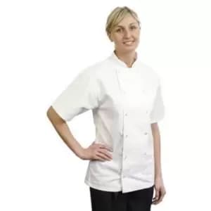 BonChef Adults Danny Short Sleeved Chef Jacket (L) (White) - White