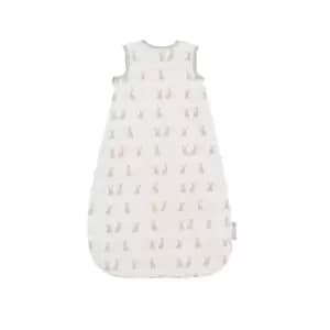 Ickle Bubba Bunnychino 0-6M Sleep Bag