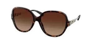Coach Sunglasses HC8303B 512074