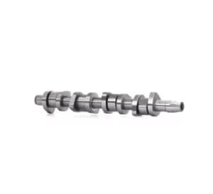 INA Camshaft VW,AUDI,FORD 428 0110 10 038109101R,1100669,XM216251AA Cam Kit,Camshaft Kit 038109101R,038109101R,038109101R