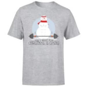 All I Want For Christmas Is Gains T-Shirt - Grey - 3XL