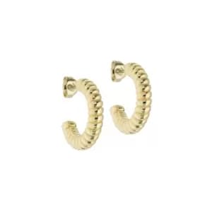 Ted Baker Ladies Tottie Twist Hoop Earrings