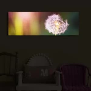 3090?ACT-48 Multicolor Decorative LED Lighted Canvas Painting